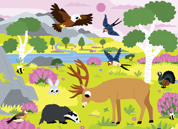 101 choses à trouver et coller